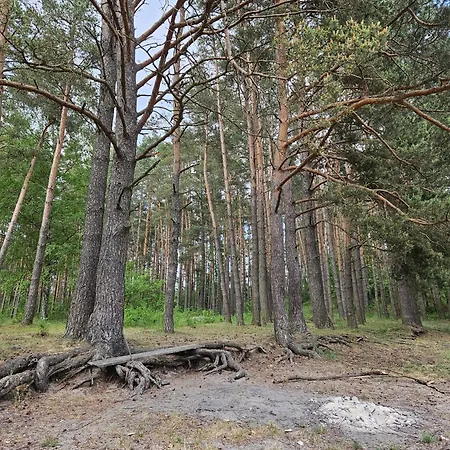 Dom Letniskowy Julka Z Kominkiem, łódka, Rowery - Jezioro Gim - Park Bartbo * Teerau
